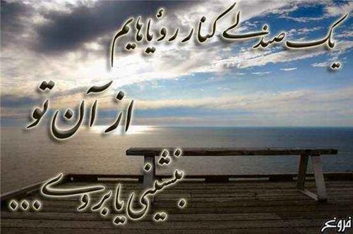 saeid&nbsp;mohammadi